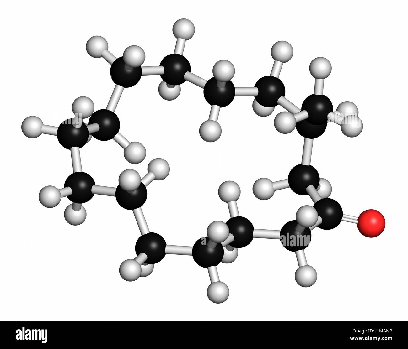 Muscone molecular Cut Out Stock Images & Pictures - Alamy