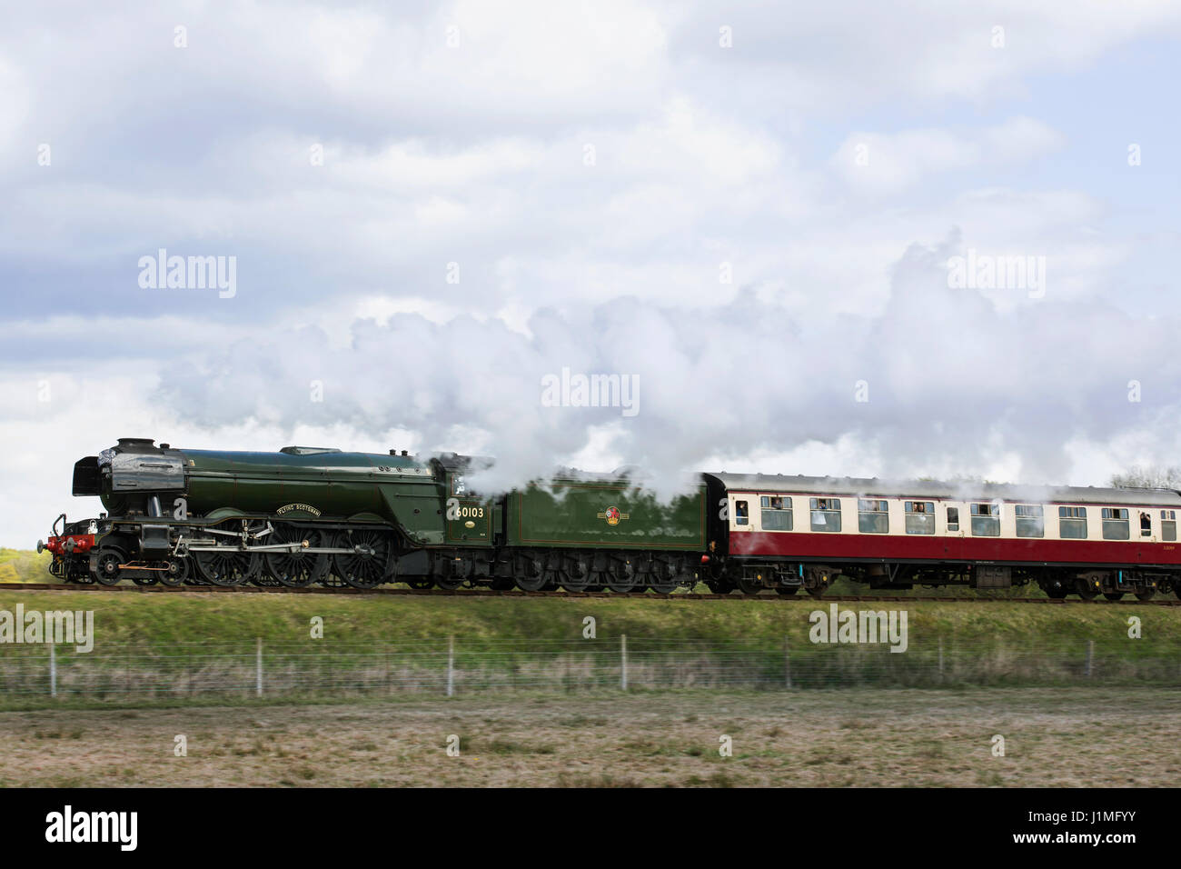 The Flying Scotsman steaming along the Bluebell railway line, Easter 2017 Stock Photo