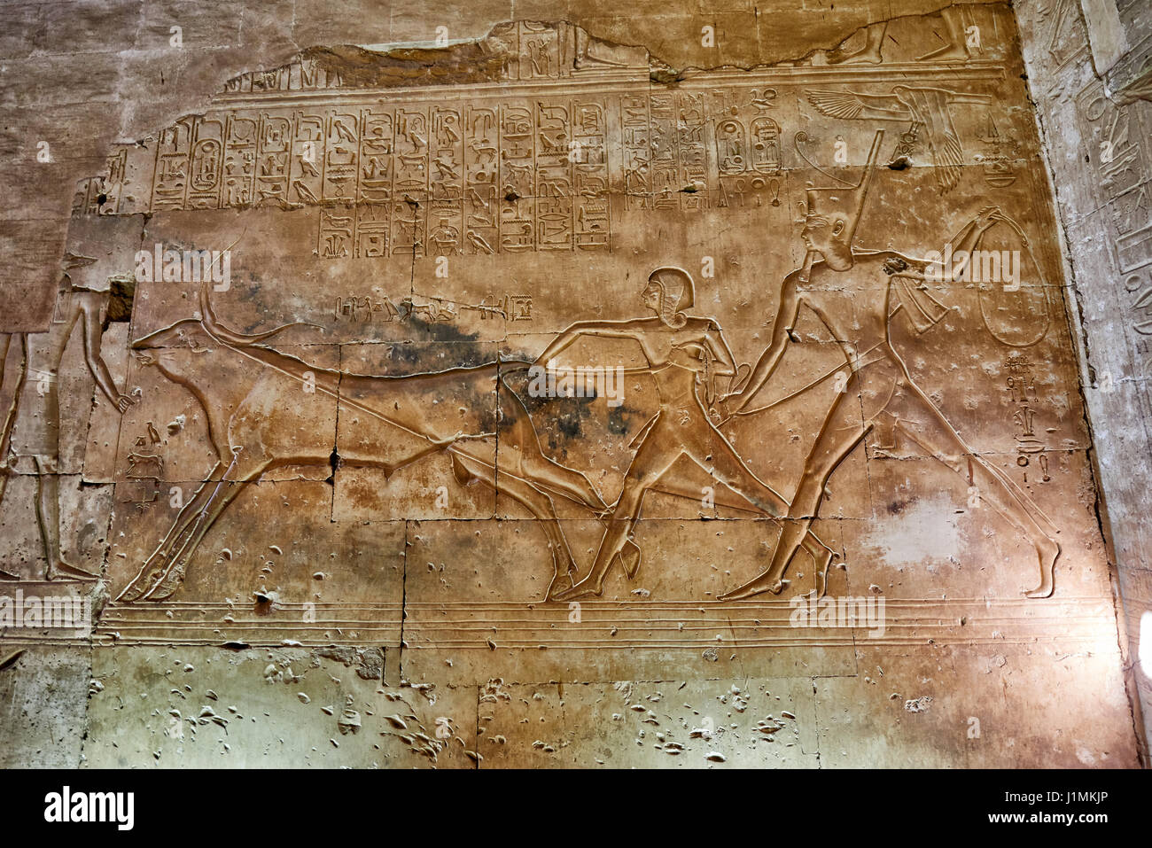 hieroglyphics at path inside Temple of Seti I , Abydos, Egypt, Africa Stock Photo