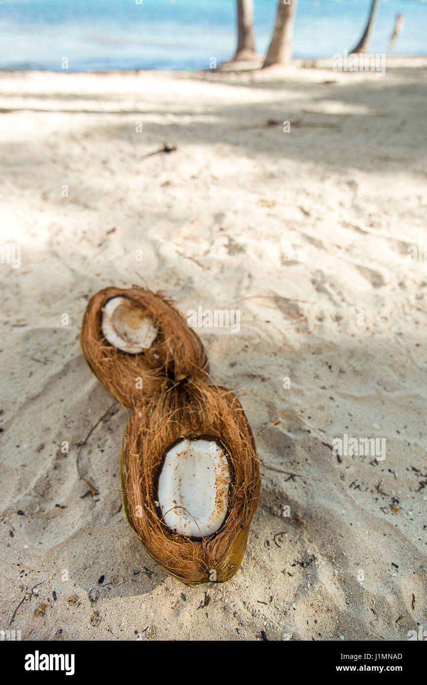 open coconut on the beach Stock Photo Alamy