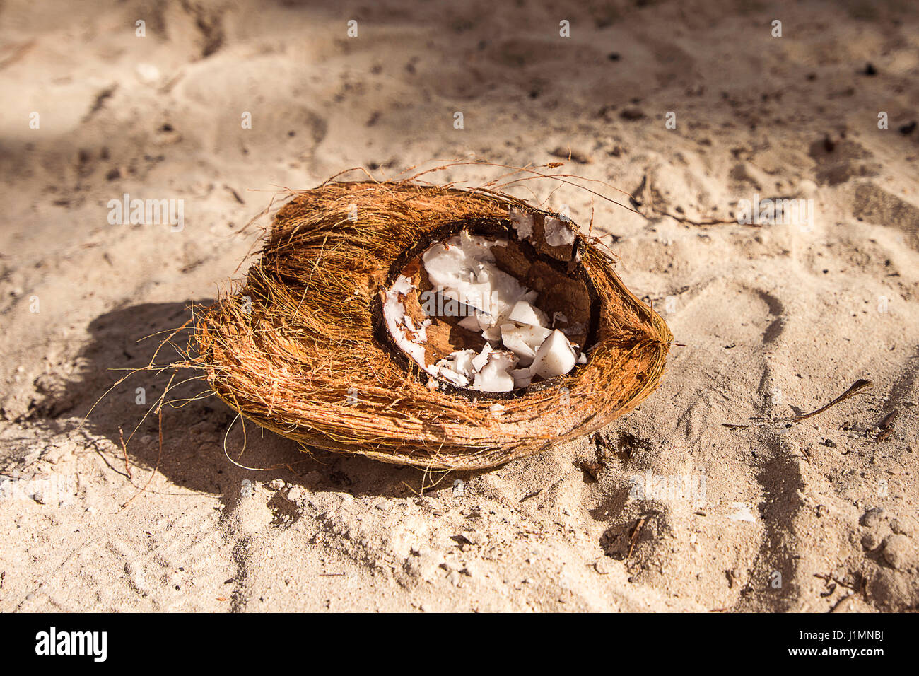 open coconut on the beach Stock Photo