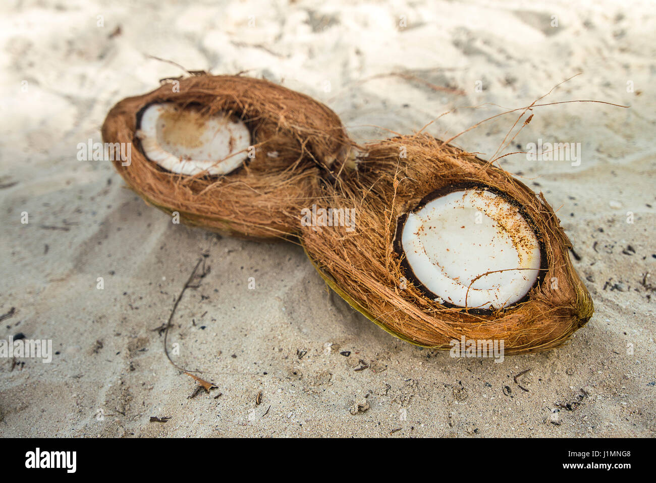 open coconut on the beach Stock Photo Alamy