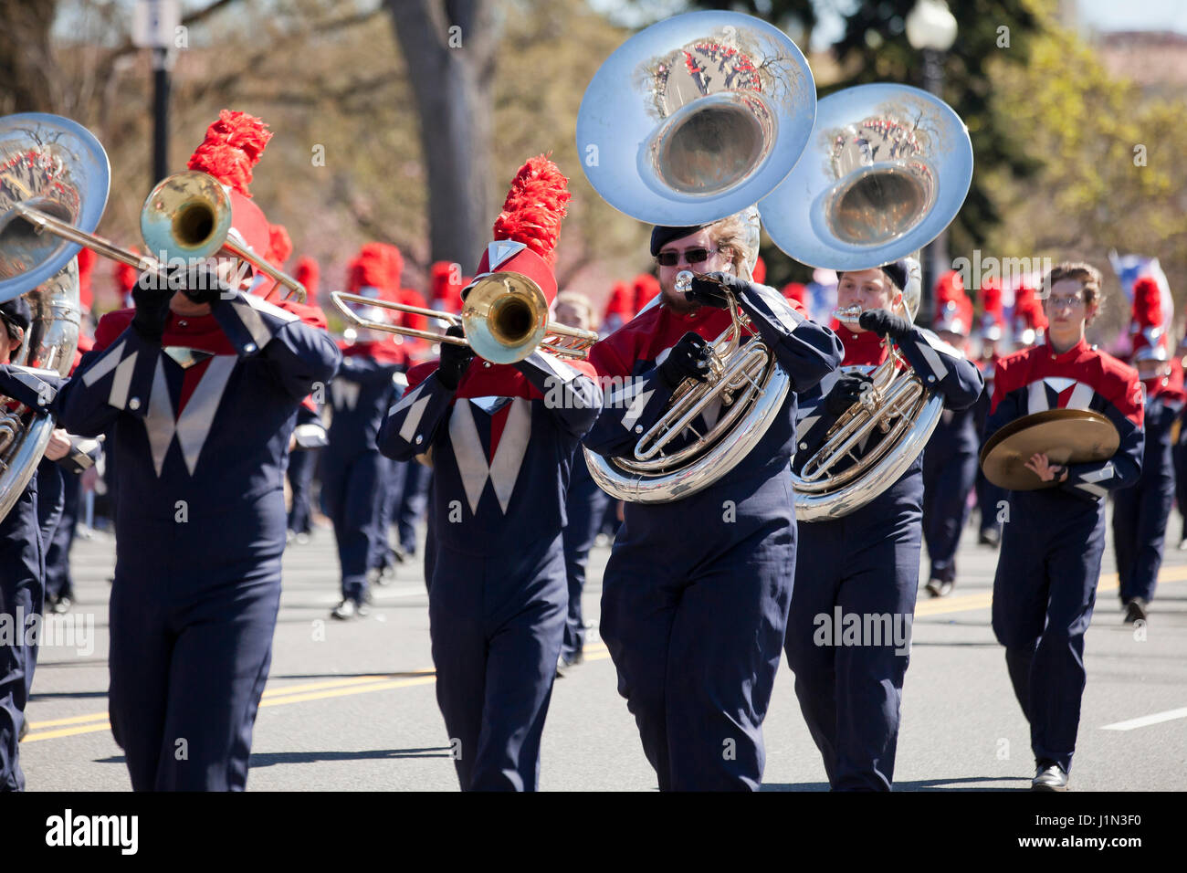 High school marching band sousaphone player - USA Stock Photo