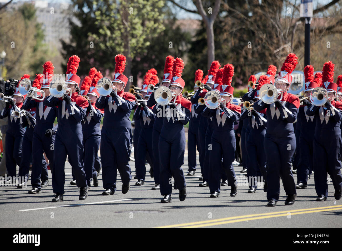 High school marching band trumpet players during parade - USA Stock Photo