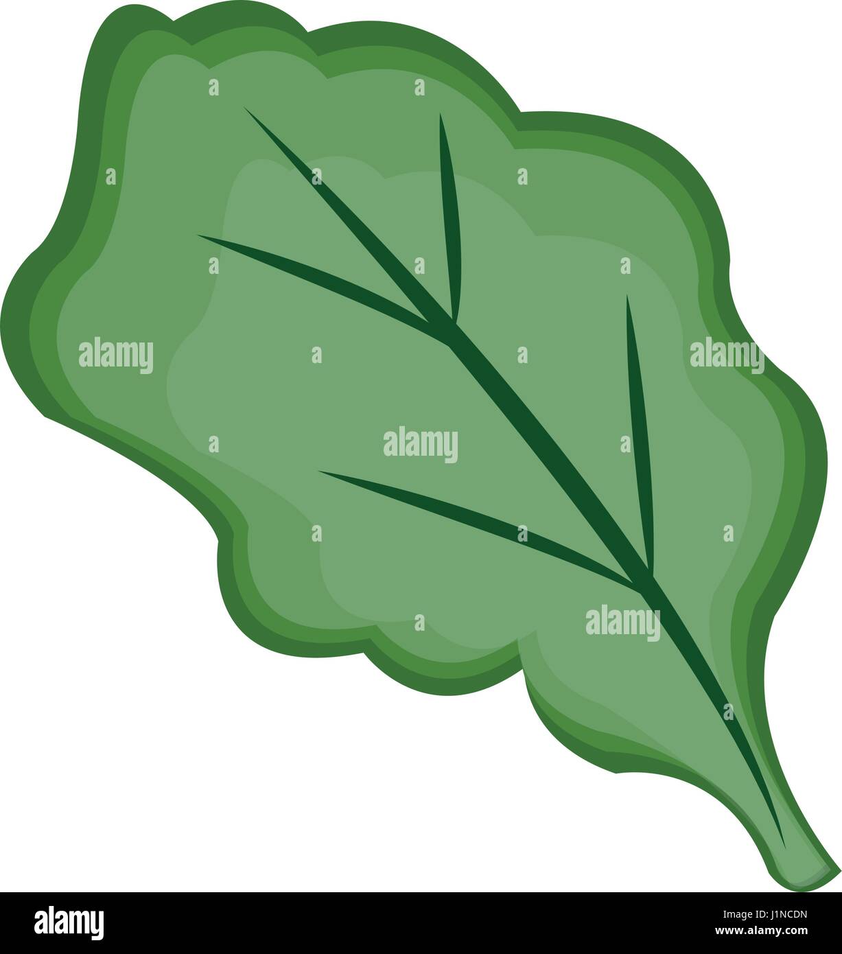 green leaf icon Stock Vector Image & Art - Alamy