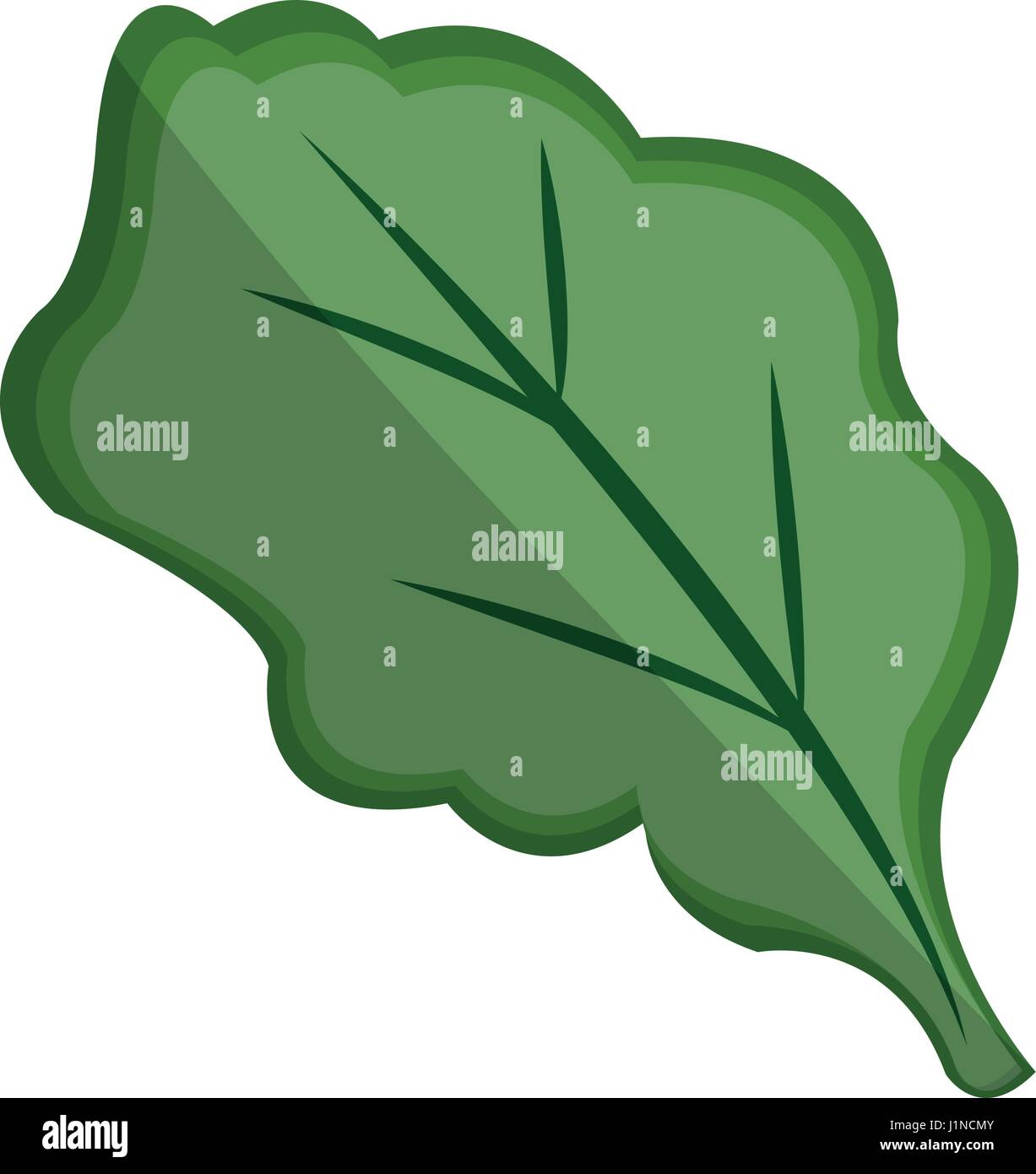 green leaf icon Stock Vector Image & Art - Alamy