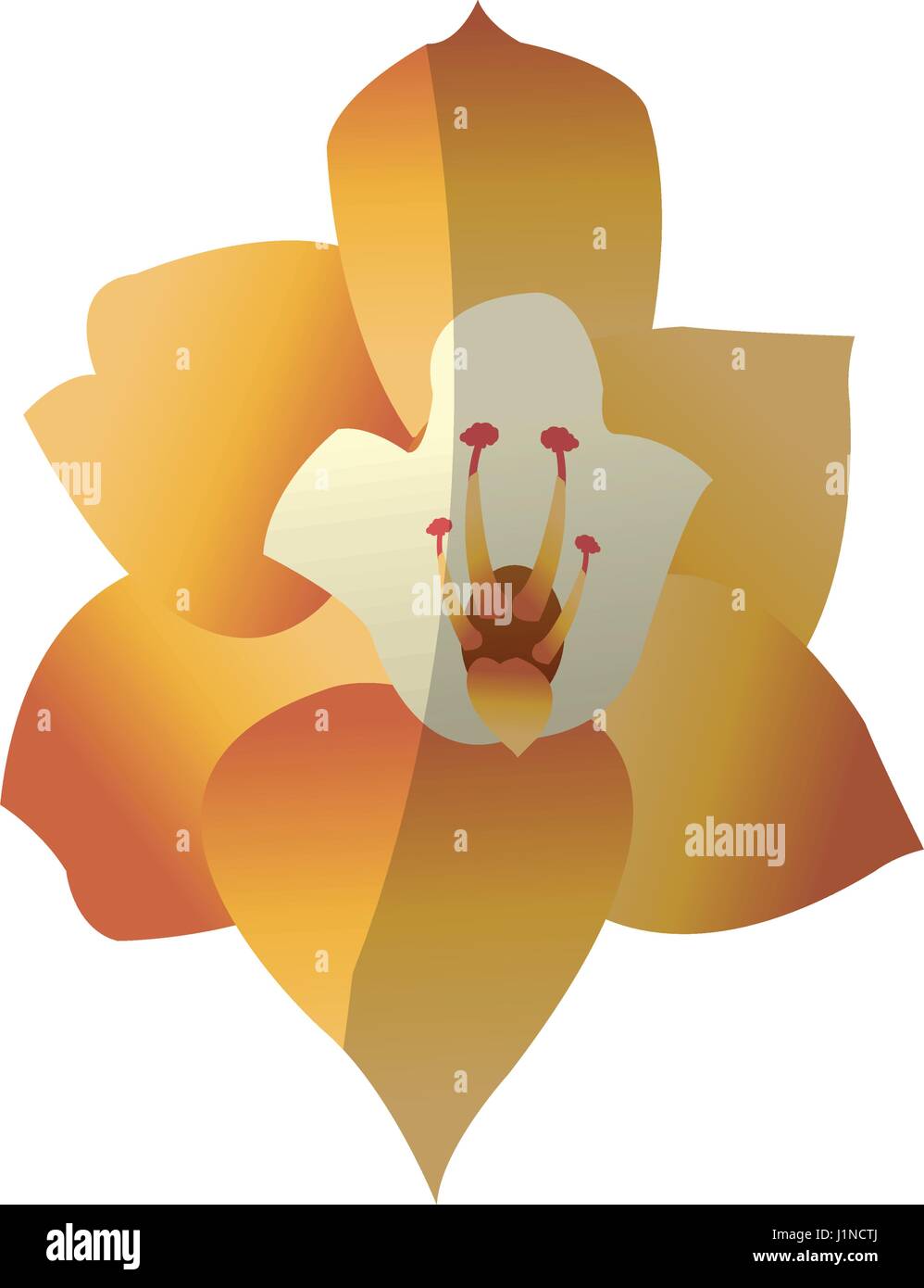 tropical flower icon Stock Vector Image & Art - Alamy