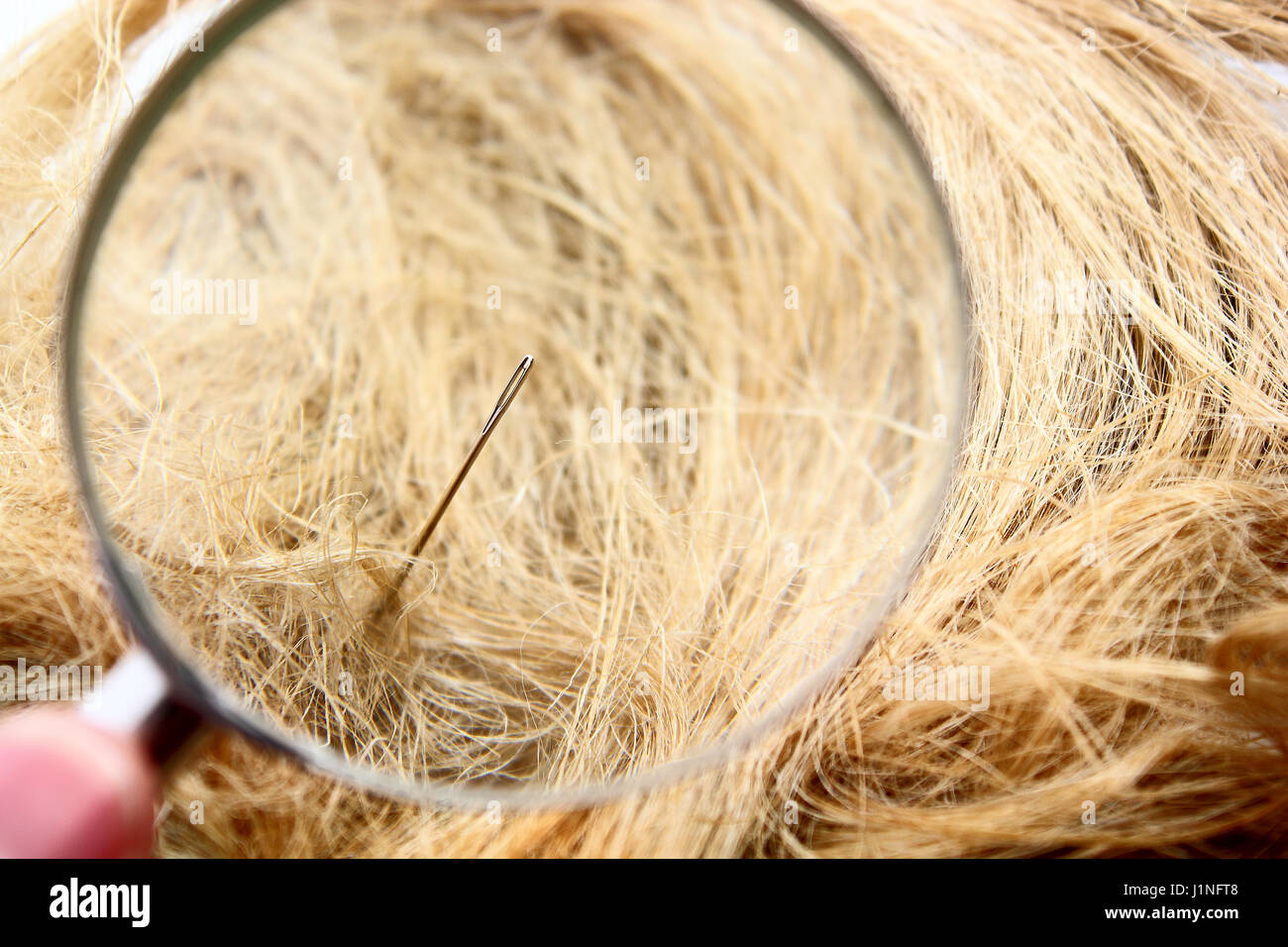 Find a Needle in the haystack Stock Photo Alamy