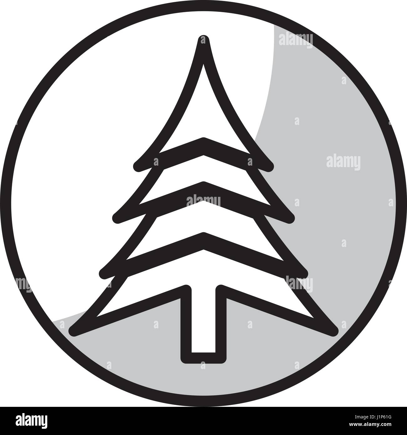 pine tree icon Stock Vector Image & Art - Alamy