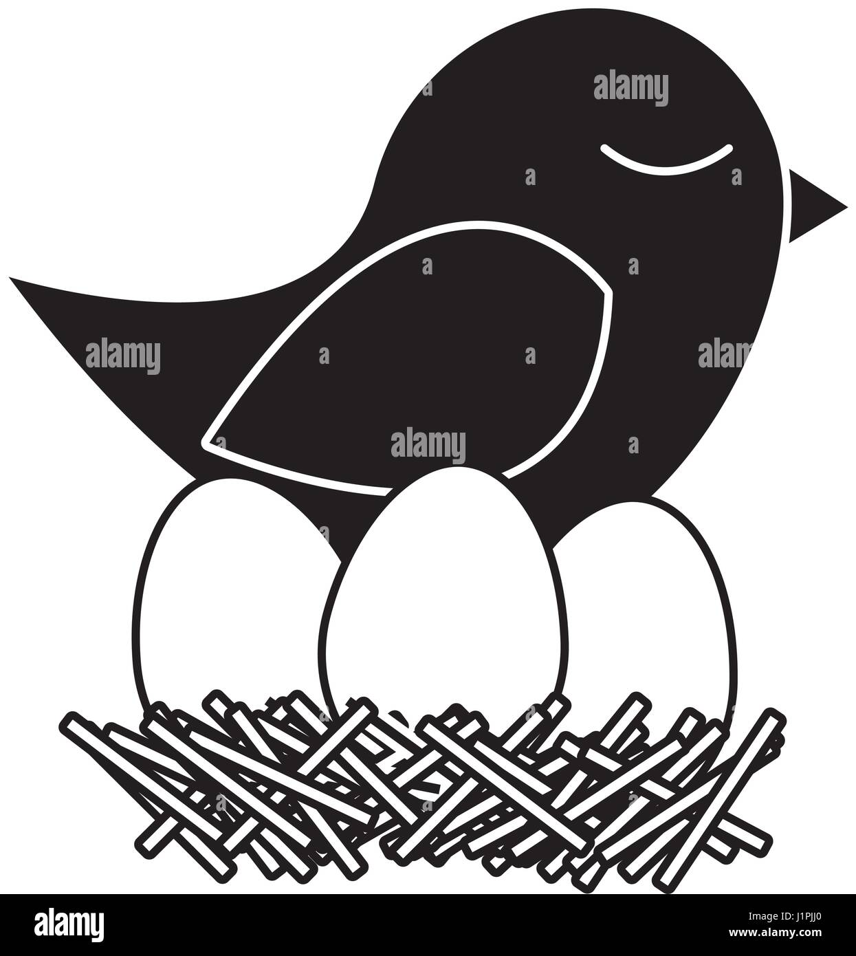 Vector Illustration Bird Nest Eggs High Resolution Stock Photography