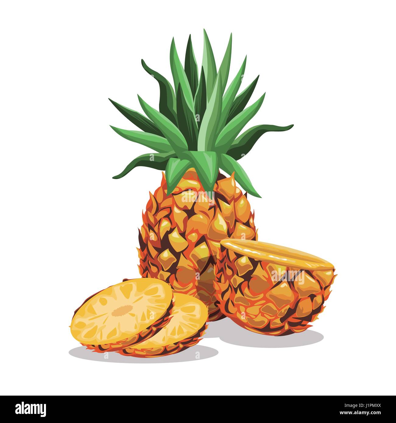 pineapple fruit fresh harvest Stock Vector Image & Art - Alamy