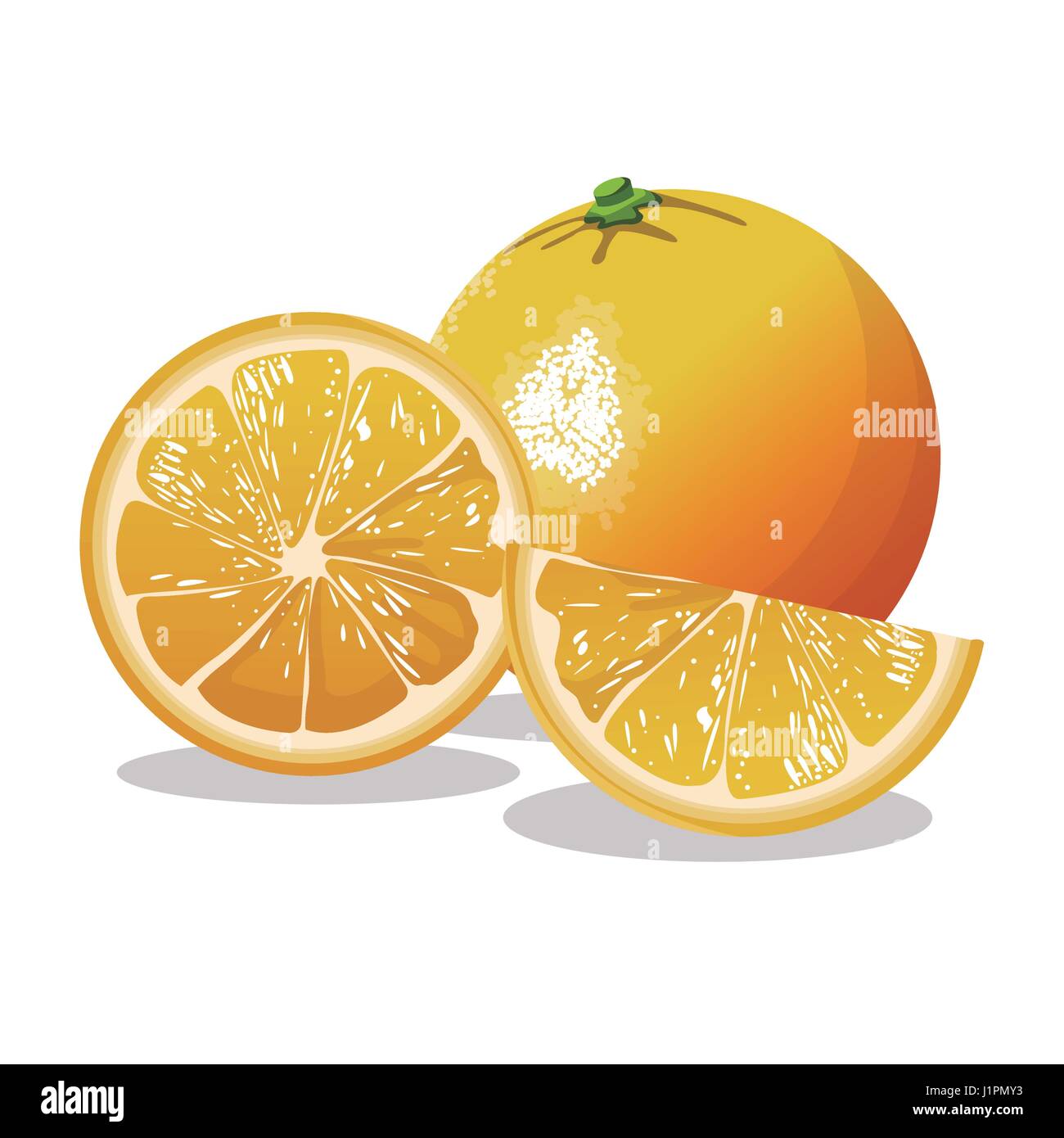 orange fruit fresh harvest Stock Vector Image & Art - Alamy