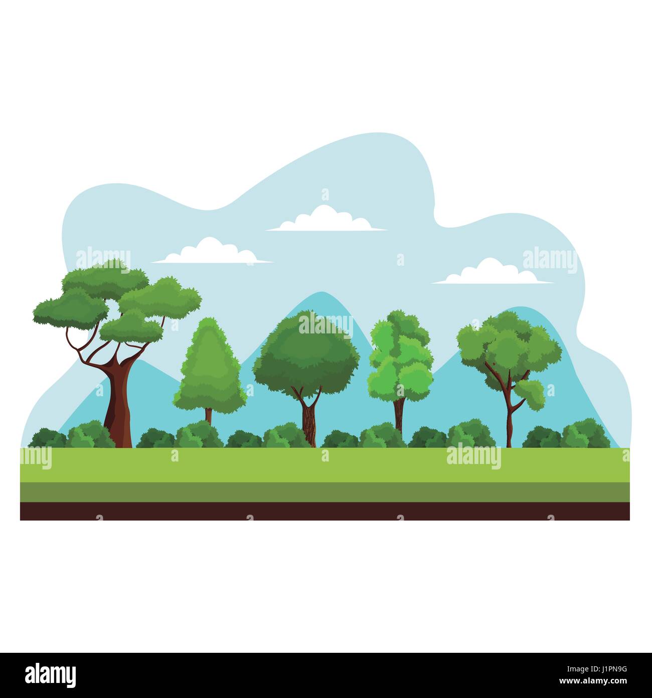 tree nature ecology plant Stock Vector Image & Art - Alamy