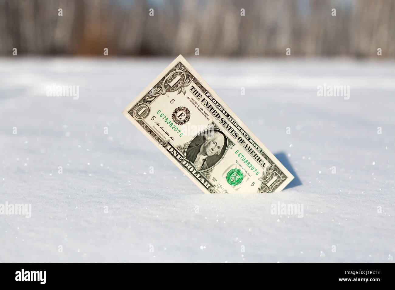 hundred dollars stuck in the white snow close-up Stock Photo