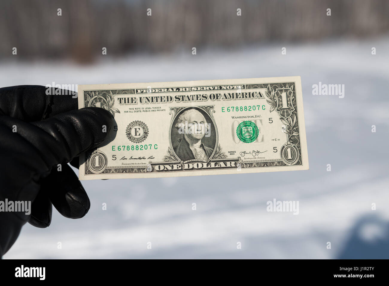 man holding a black-gloved one dollar in nature Stock Photo