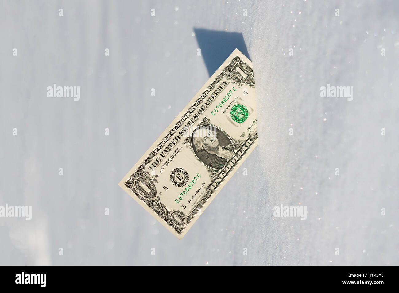 hundred dollars stuck in the white snow on the nature Stock Photo