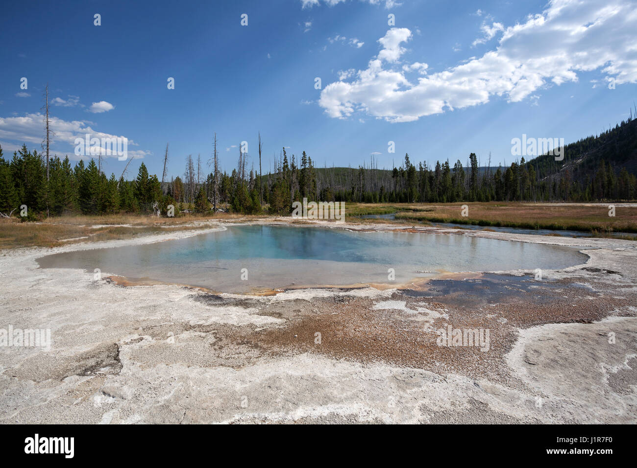 Green Spring, Black Sand Basin, Yellowstone National Park, Wyoming, USA Stock Photo