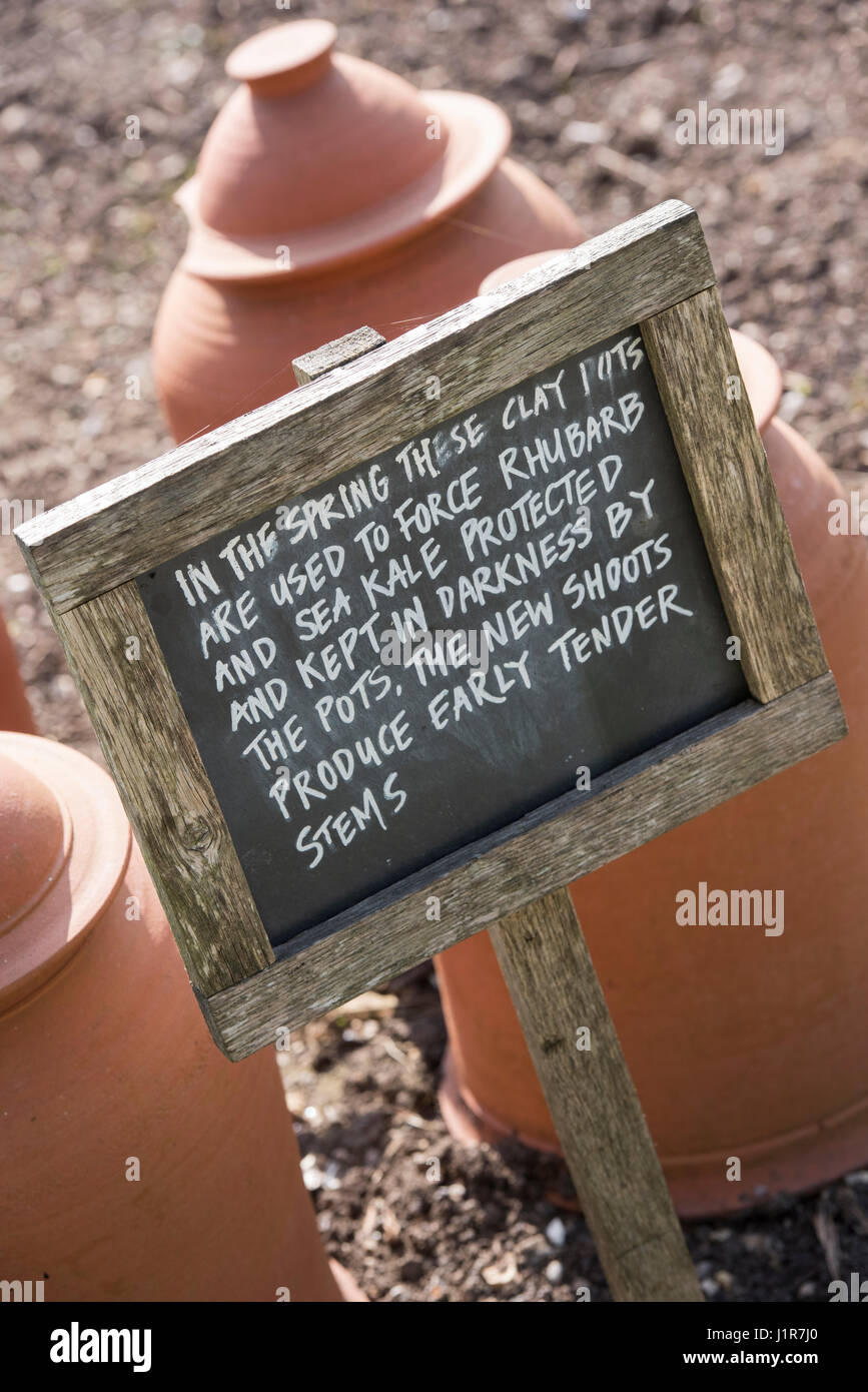 Sign explaining the use of Rhubarb Forcing pots in Oxford Botanical Gardens, Oxford, England Stock Photo