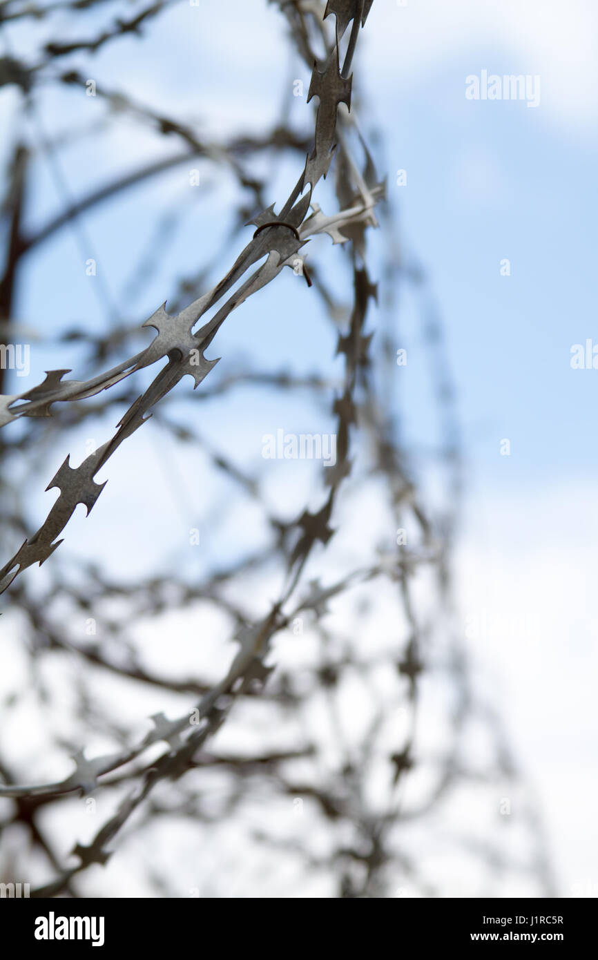 Barbed wire fence against the blue sky Stock Photo - Alamy