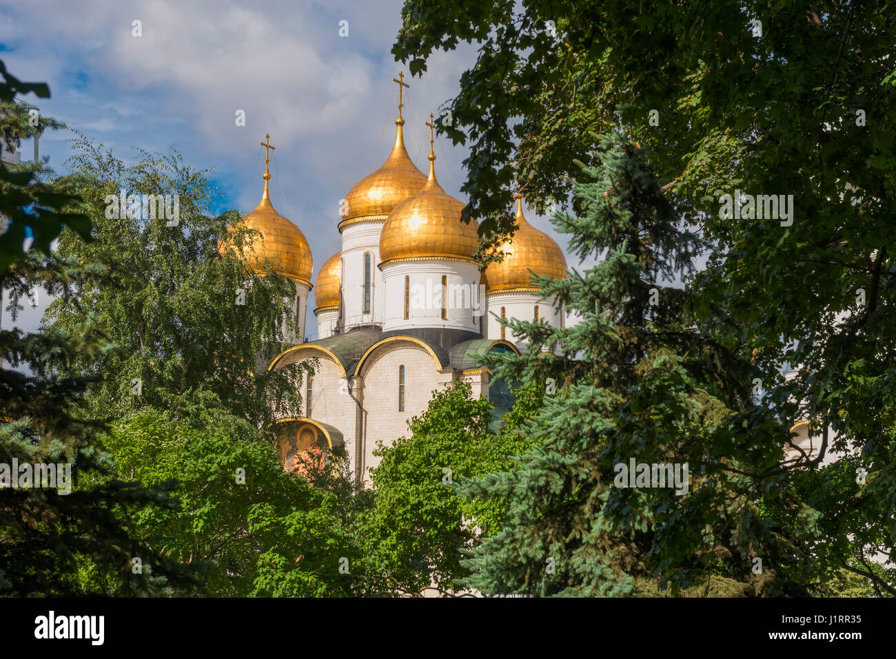 Annunciation Cathedral in the Moscow Kremlin in the leaves of trees in ...
