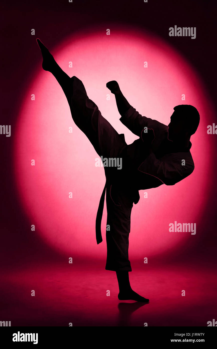 Karate silhouette hi-res stock photography and images - Alamy