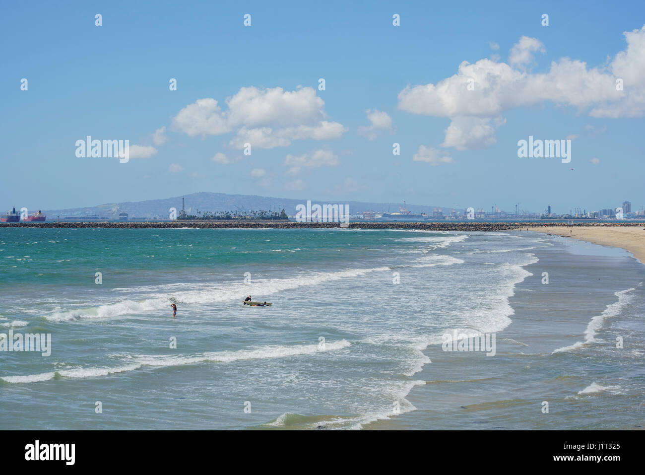 Lax To Seal Beach