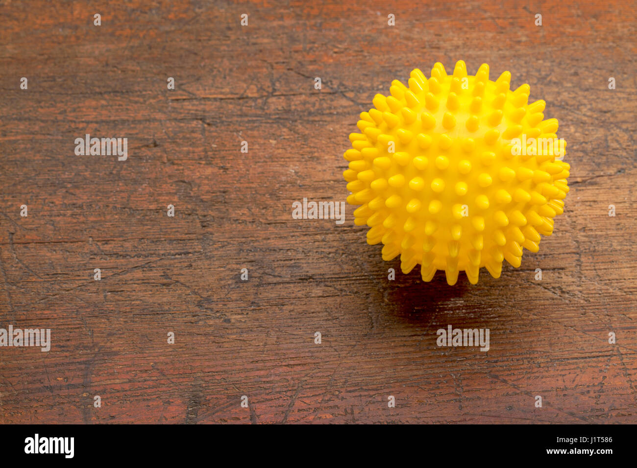 spiky rubber ball roller for self massage, reflexology and myofascial release Stock Photo Alamy