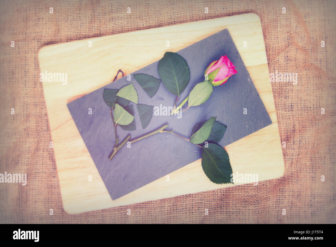 Single rose cut up on piece of slate Stock Photo - Alamy