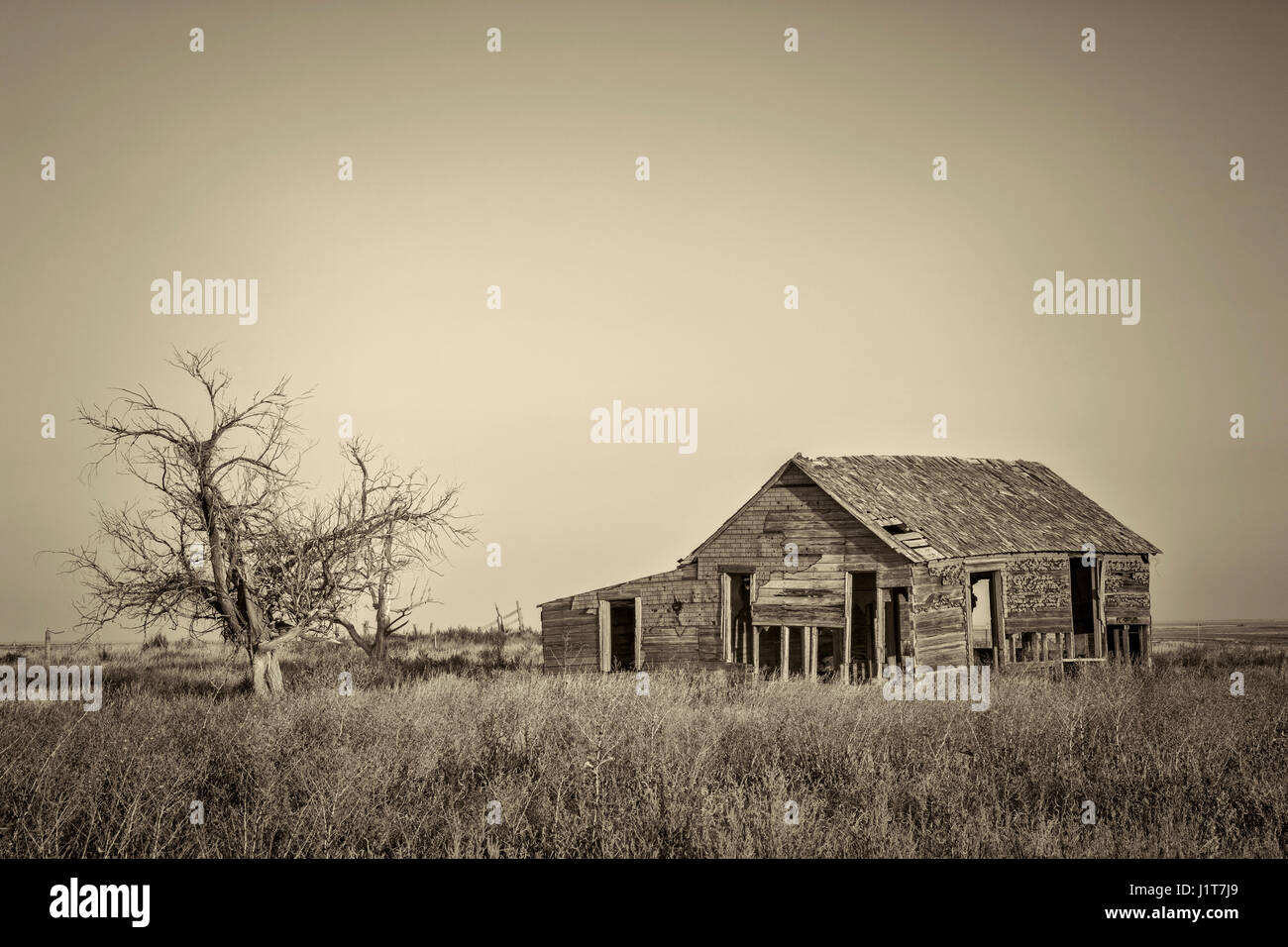 old abandoned homestead with hawk nests on eastern Colorado prairie, platinum toned black and white image Stock Photo