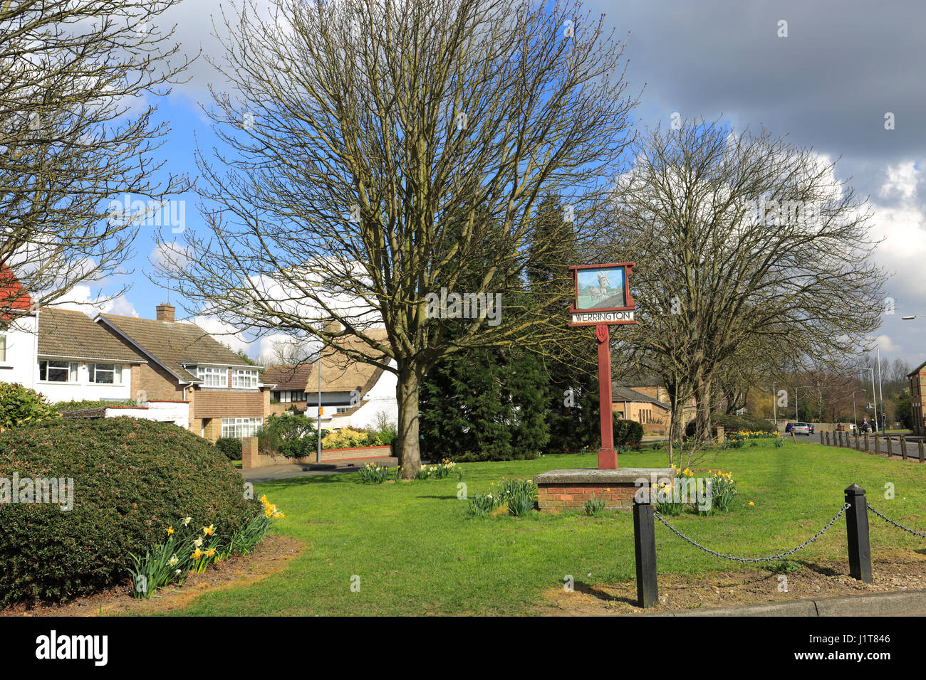 Spring, Werrington village Green, Cambridgeshire; England, UK Stock