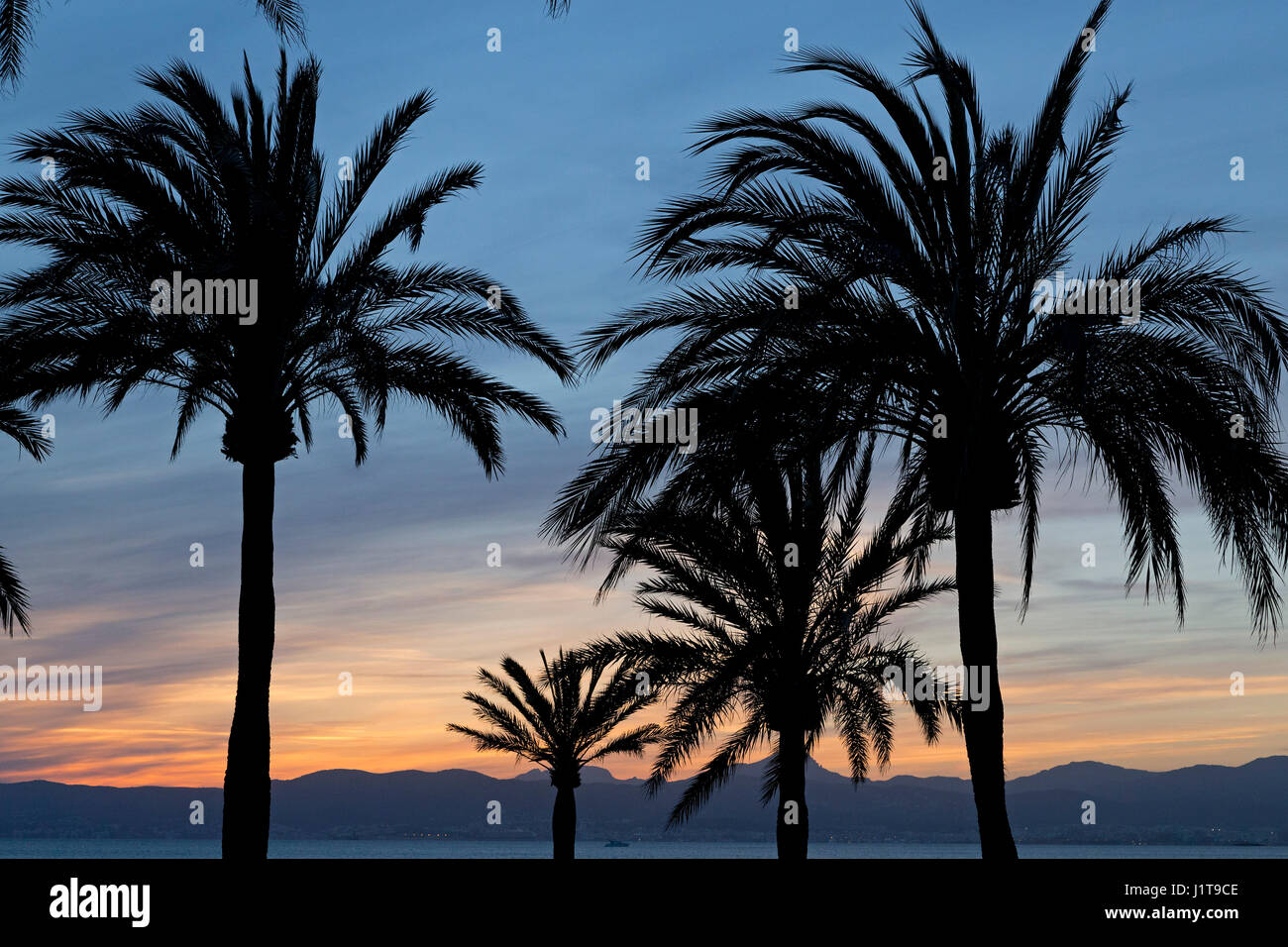 sundown at the beach, S´Arenal, Majorca, Spain Stock Photo