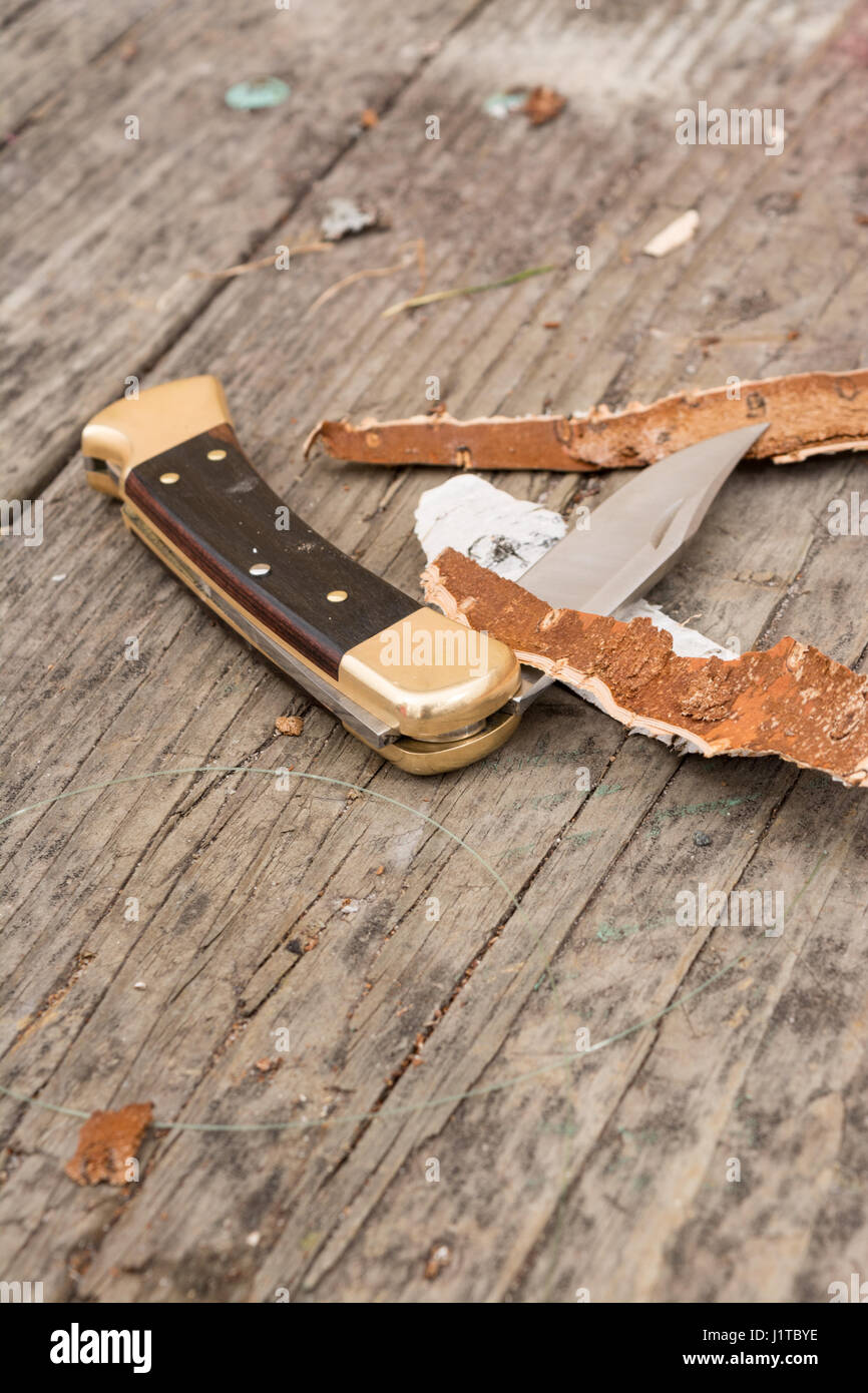 Folding pocket knife on wood table with wood shavings surrounding it. Stock Photo