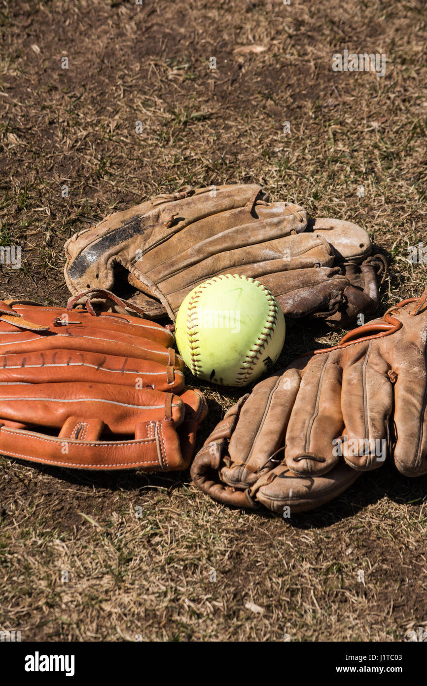 softball with 3 softball mitts laying in the grass Stock Photo Alamy