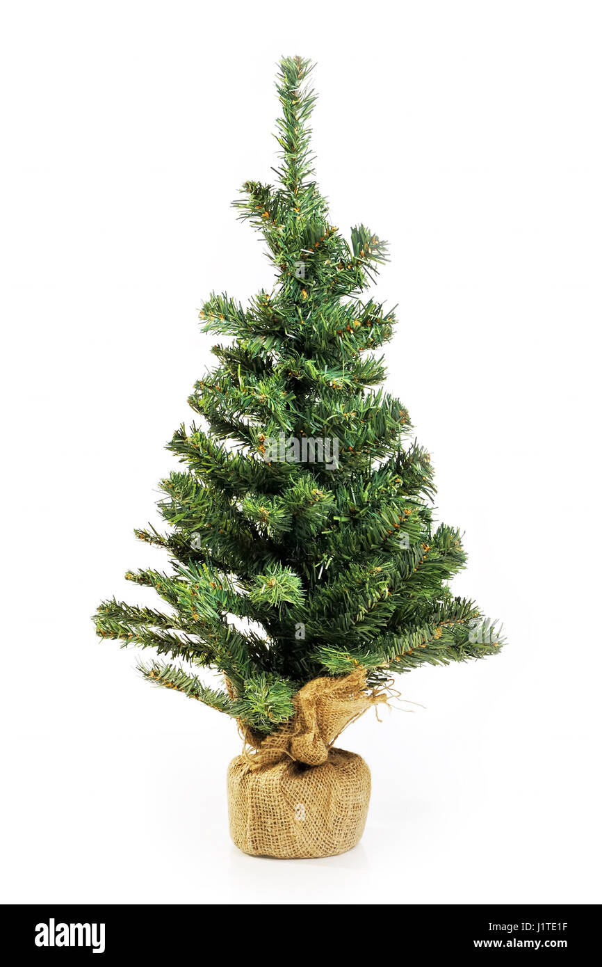 Bare Christmas Tree Without Decoration Isolated On White Stock