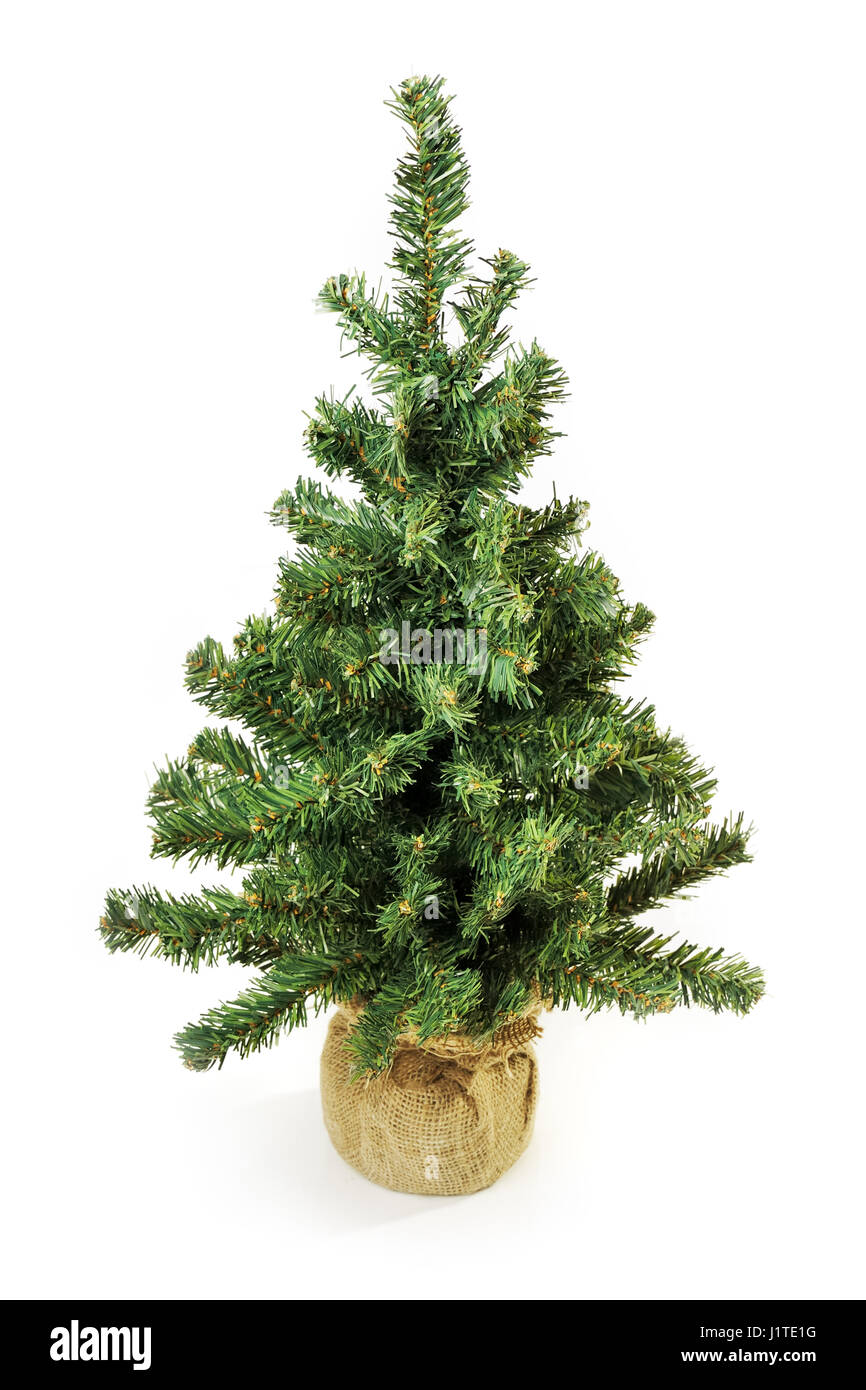 Bare Christmas Tree Without Decoration Isolated On White Stock