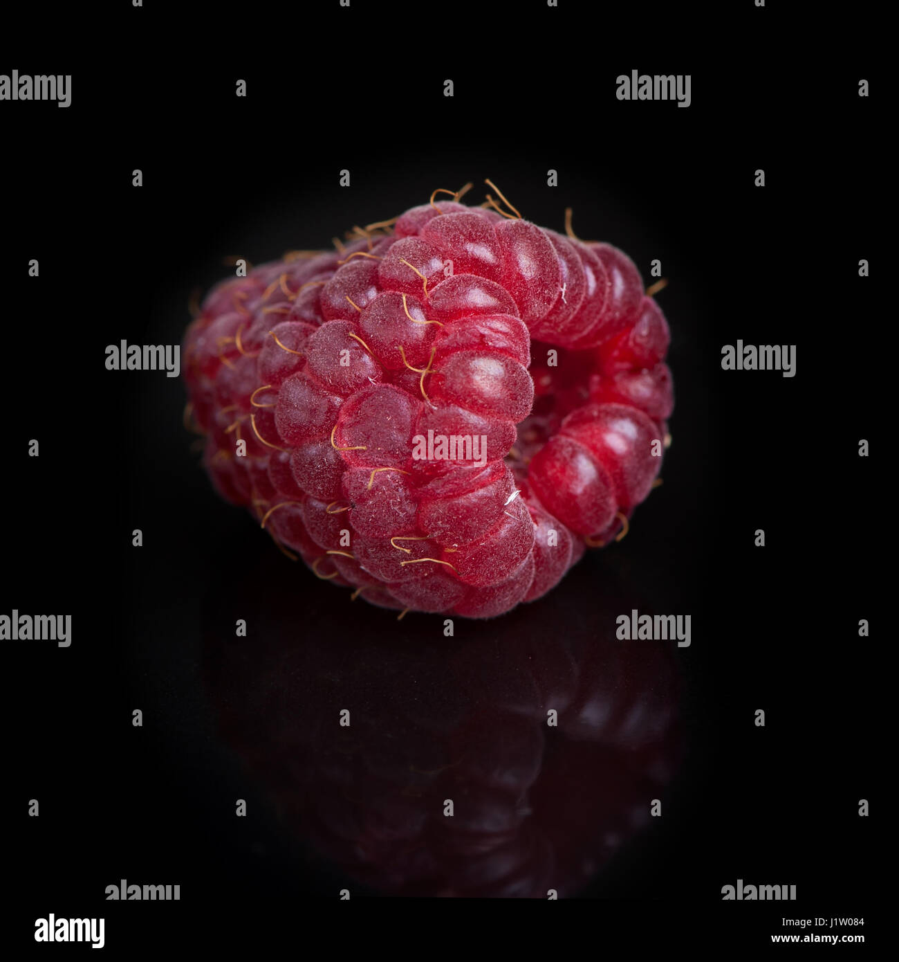 Single raspberry on black background Stock Photo - Alamy
