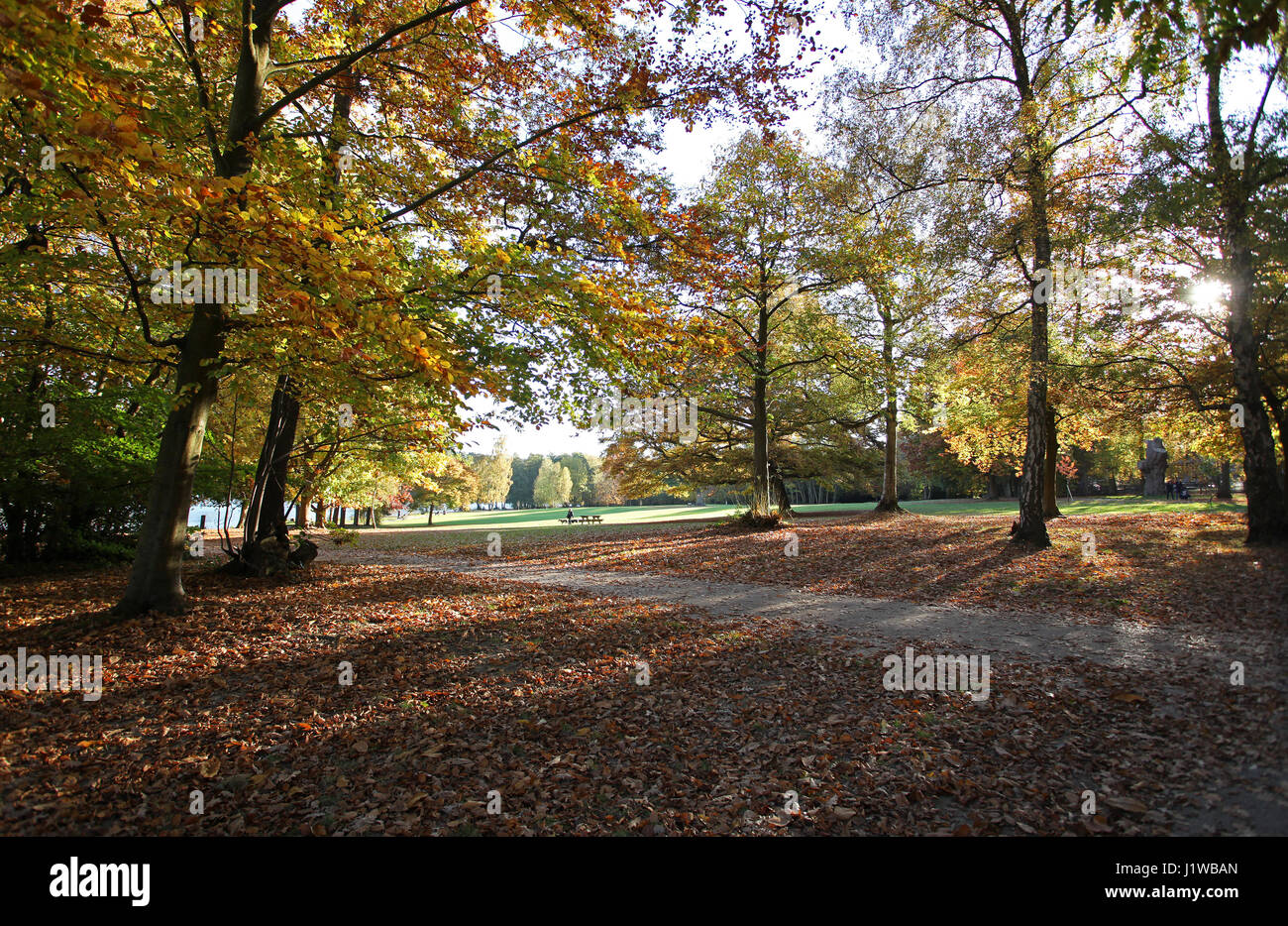Autumn colours at Tilgate Park, West Sussex Stock Photo