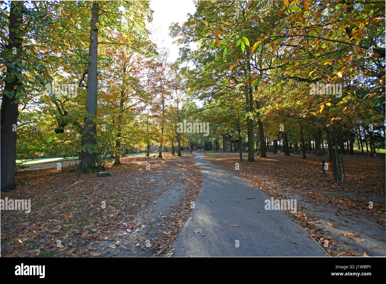 Autumn colours at Tilgate Park, West Sussex Stock Photo