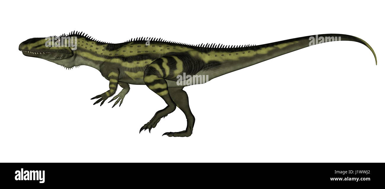 Torvosaurus dinosaurs walking isolated in white - 3D render Stock Photo