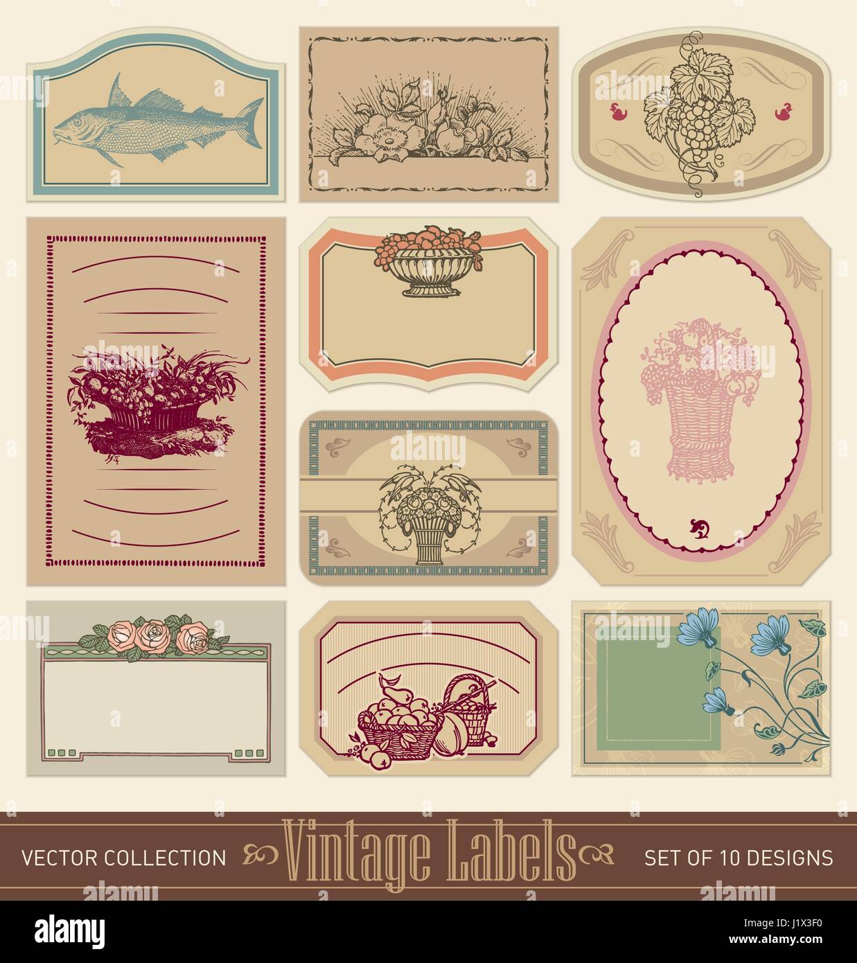 Set of 10 blank ornate vintage labels (vector Stock Vector Image & Art -  Alamy