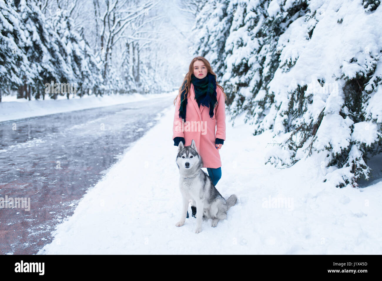 Siberian husky sitting near young woman, snowy forest on background. Cute girl with charming dog Stock Photo
