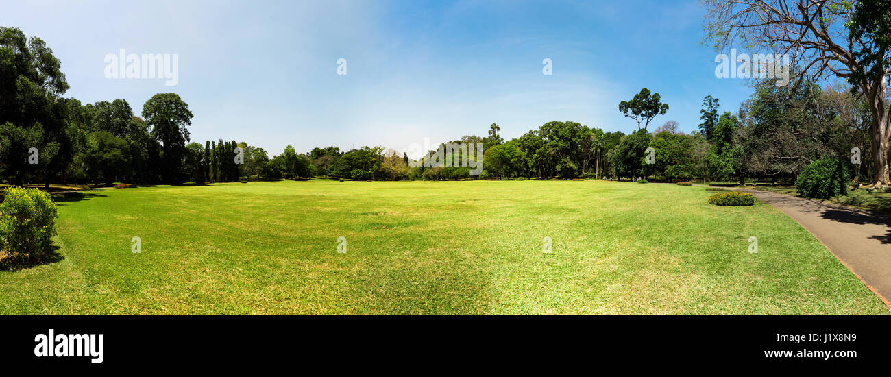 Scenic nature anb blue sky, Ceylon. Landscape of Sri Lanka Stock Photo ...