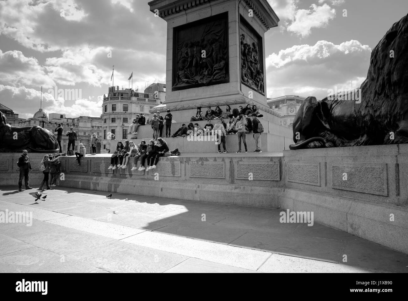 A Spring day in Trafalgar Square, London, England, United Kingdom Stock Photo