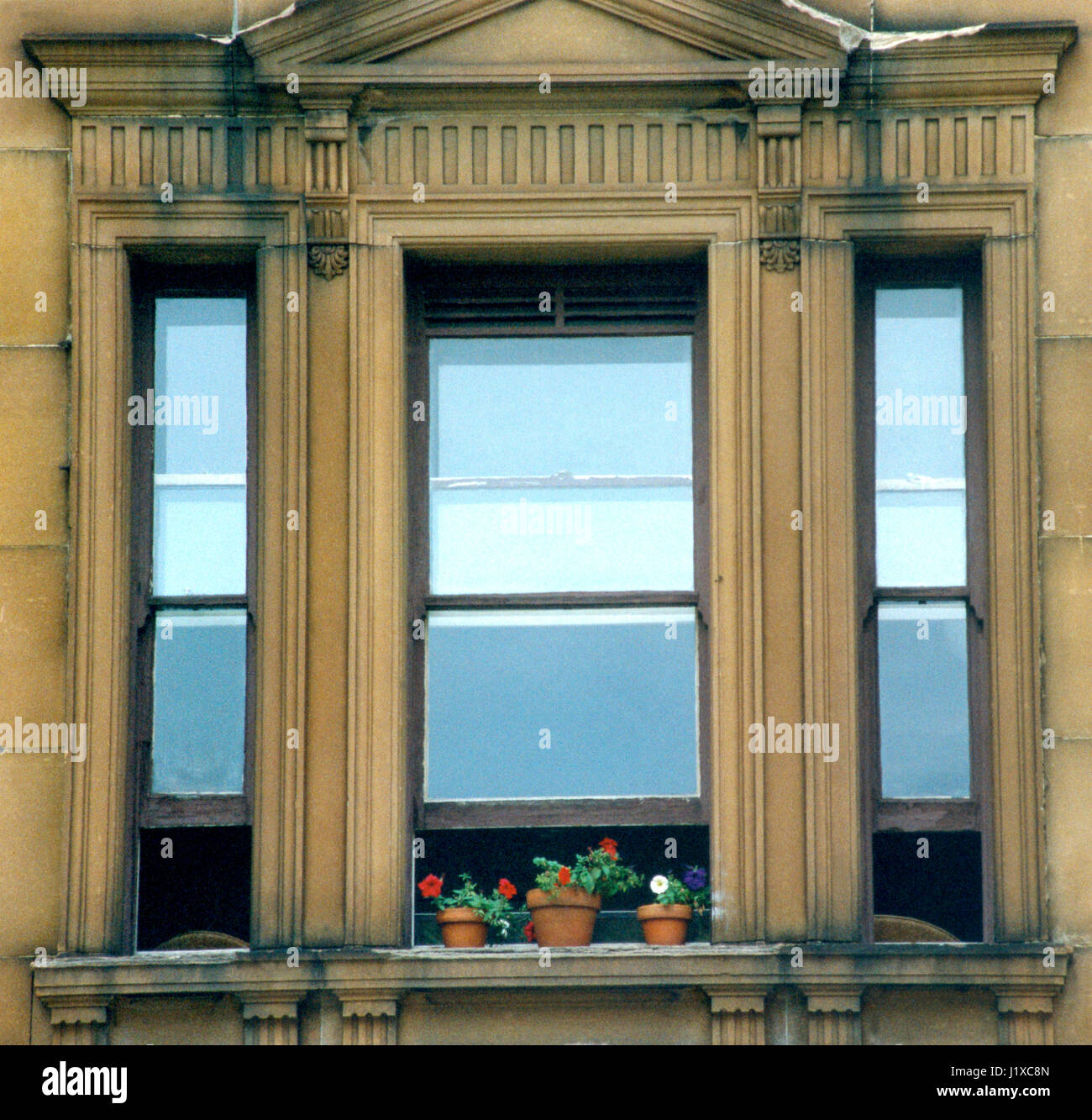 WINDOW with flower pots Sydney Australia 2009 Stock Photo