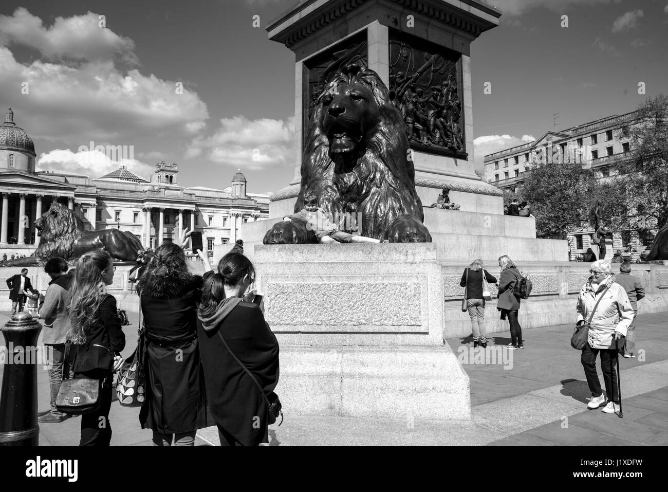 A Spring day in Trafalgar Square, London, England, United Kingdom Stock Photo