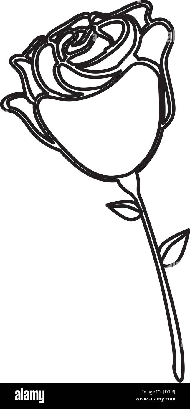 Beautiful flower ornament Stock Vector Image & Art - Alamy