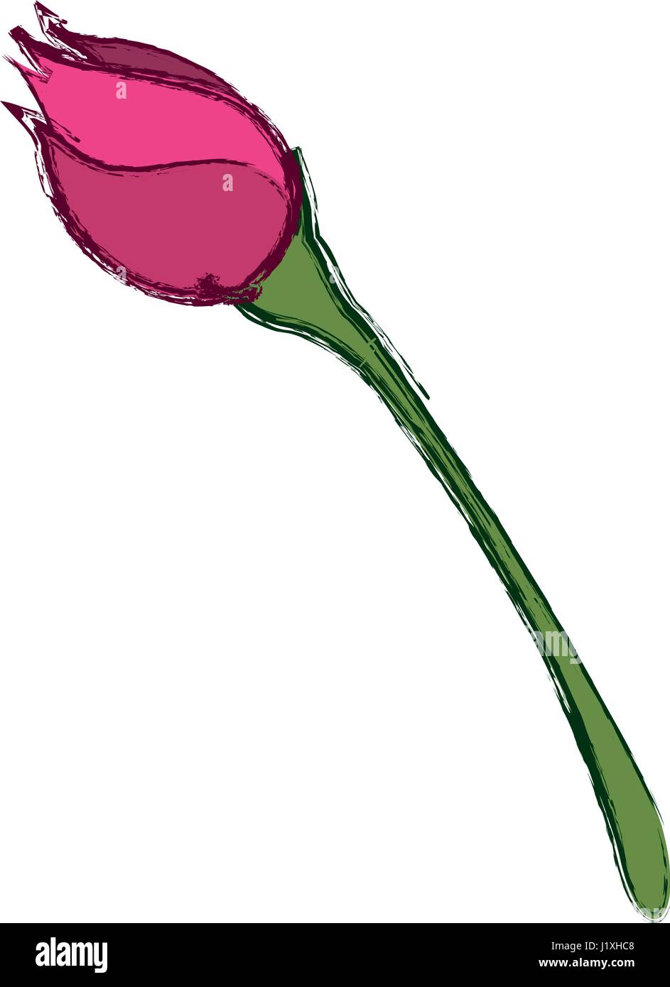 Beautiful flower ornament Stock Vector Image & Art - Alamy