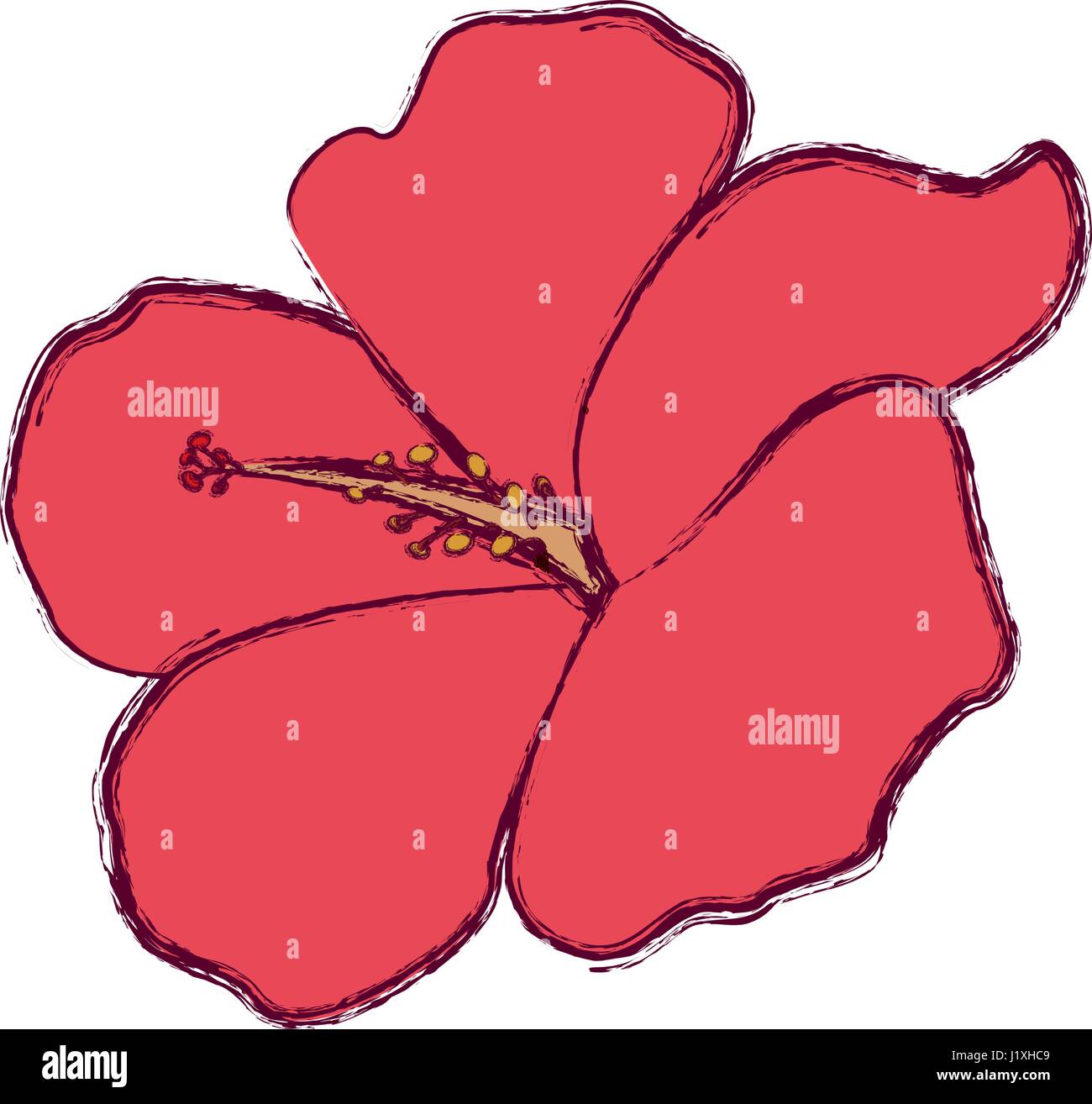 Beautiful flower ornament Stock Vector Image & Art - Alamy
