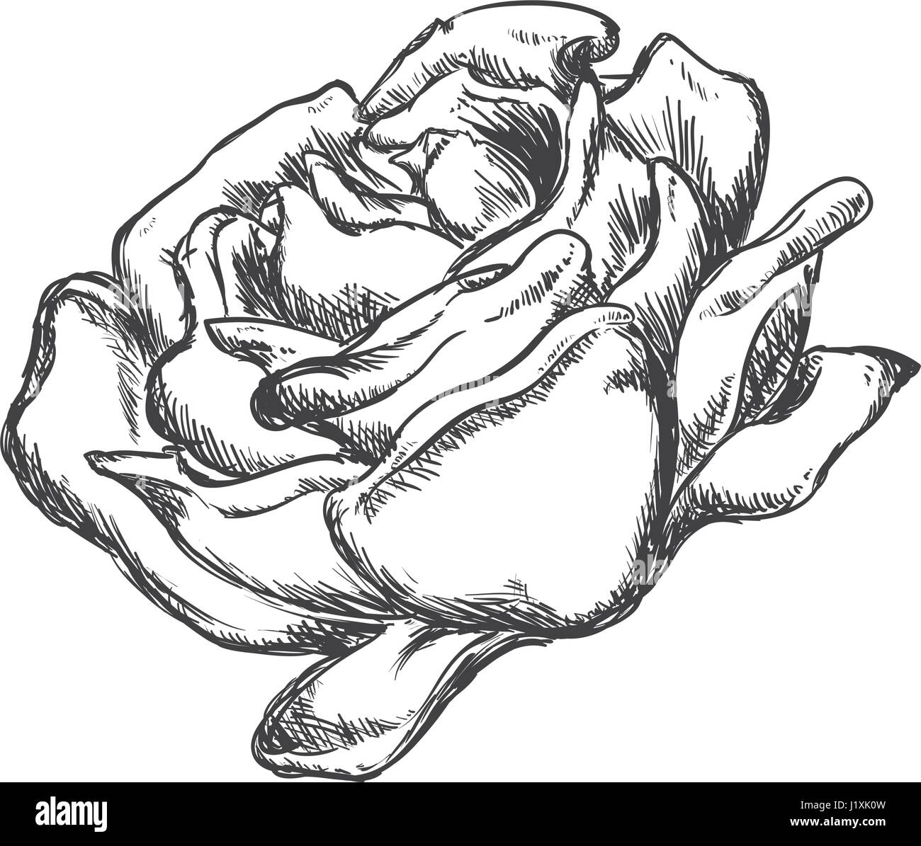 Beautiful flower ornament Stock Vector Image & Art - Alamy