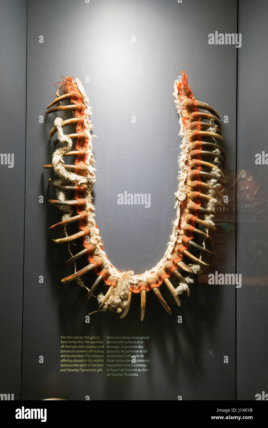 Lakota necklace with grizzly bear claws, Manitoba Museum, Winnipeg, Manitoba, Canada Stock Photo